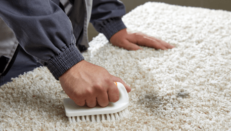 Professional Rug Cleaning Coolaroo