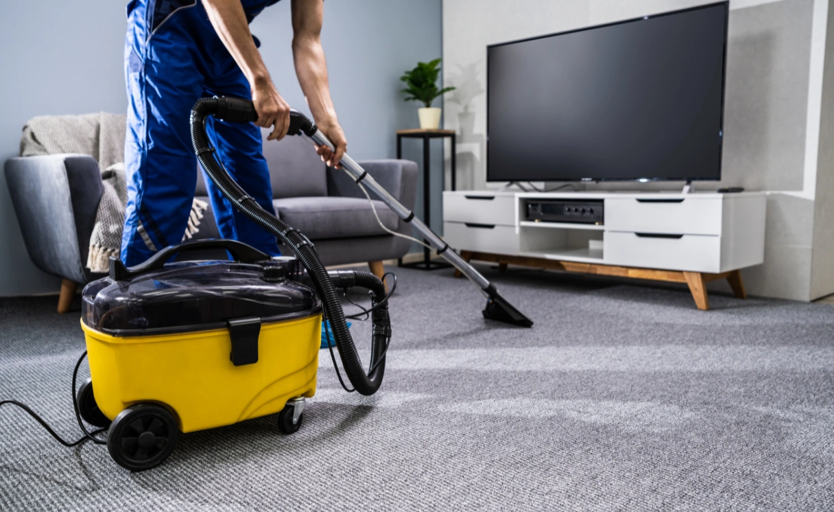 Extract Rug Cleaning Coolaroo Contact Office